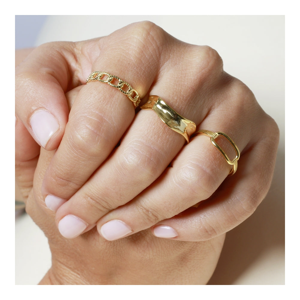 Anillo Gabri