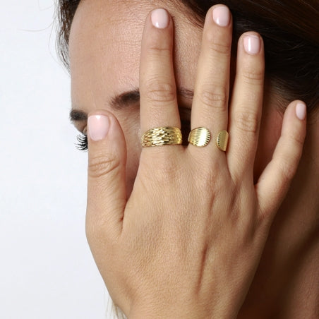 Anillo Conchas